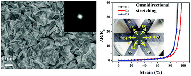 Graphical abstract: Omnidirectionally stretchable electrodes based on wrinkled silver nanowires through the shrinkage of electrospun polymer fibers