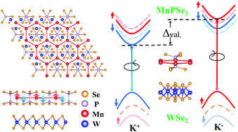 Graphical abstract: Valley splitting in the antiferromagnetic heterostructure MnPSe3/WSe2