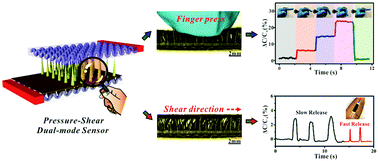 Graphical abstract: In situ assembly of a wearable capacitive sensor with a spine-shaped dielectric for shear-pressure monitoring