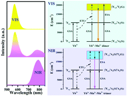 Graphical abstract: Heavy Mn2+-doped near-infrared photon upconversion luminescence in fluoride RbZnF3:Yb3+,Mn2+ guided by dopant distribution simulation