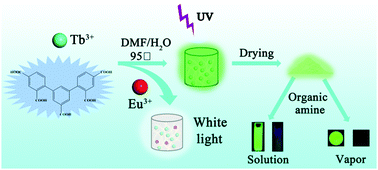 Graphical abstract: Water-stable lanthanide-based metal–organic gel for the detection of organic amines and white-light emission