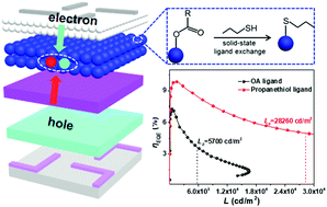 Graphical abstract: Suppressed efficiency roll-off in blue light-emitting diodes by balancing the spatial charge distribution