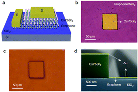 Graphical abstract: High-performance vertical field-effect transistors based on all-inorganic perovskite microplatelets