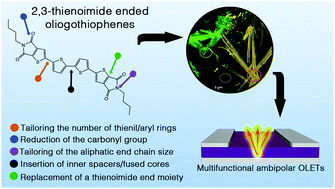 Graphical abstract: 2,3-Thienoimide-ended oligothiophenes as ambipolar semiconductors for multifunctional single-layer light-emitting transistors