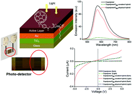 Graphical abstract: Prato reaction derived polythiophene/C60 donor–acceptor double cable polymer, fabrication of photodetectors and evaluation of photocurrent generation