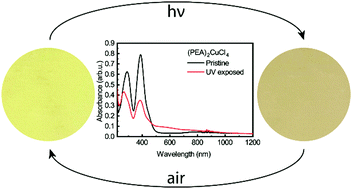 Graphical abstract: Photochromism in Ruddlesden–Popper copper-based perovskites: a light-induced change of coordination number at the surface