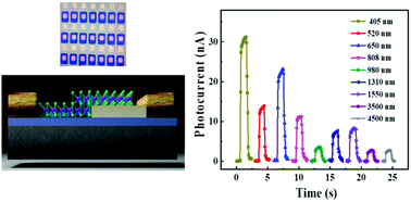 Graphical abstract: A 3D topological Dirac semimetal/MoO3 thin film heterojunction infrared photodetector with a current reversal phenomenon