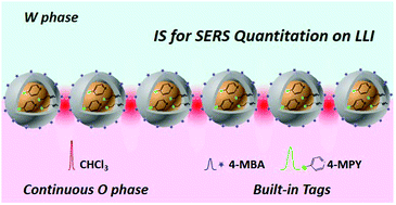 Graphical abstract: Trinitarian quantitative analysis of the continuous organic phase and built-in tags as internal standards for two-liquid interfacial surface-enhanced Raman spectroscopy