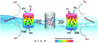 Graphical abstract: Enhanced tribocatalytic degradation using piezoelectric CdS nanowires for efficient water remediation