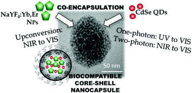Graphical abstract: Enhancing optical functionality by co-loading NaYF4:Yb,Er and CdSe QDs in a single core-shell nanocapsule