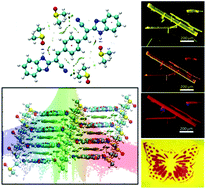 Graphical abstract: Turn-on solid state luminescence by solvent-induced modification of intermolecular interactions