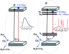 Graphical abstract: Particularly developed transition from the 5D1 level of Eu3+ and its significant contribution to the improved photocatalysis of (Bi3Li)O4Cl2via prolonging the decay time of the excited state