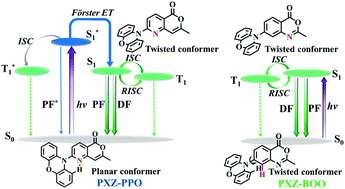 Graphical abstract: Origin of thermally activated delayed fluorescence in a donor–acceptor type emitter with an optimized nearly planar geometry