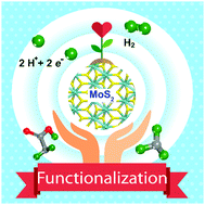 Graphical abstract: Tuning the phase stability and surface HER activity of 1T′-MoS2 by covalent chemical functionalization