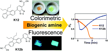 Graphical abstract: Dicyanovinyl-based fluorescent sensors for dual mechanism amine sensing