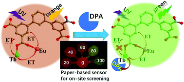 Graphical abstract: A quantitative ratiometric fluorescent Hddb-based MOF sensor and its on-site detection of the anthrax biomarker 2,6-dipicolinic acid