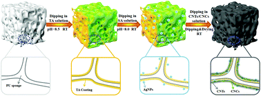 Graphical abstract: An ultrasensitive and highly compressive piezoresistive sensor based on a biopolyol-reinforced polyurethane sponge coated with silver nanoparticles and carbon nanotubes/cellulose nanocrystals