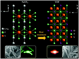 Graphical abstract: Enhancing the red upconversion luminescence of hybrid porous microtubes via an in situ O-substituted reaction through heat treatment
