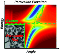 Graphical abstract: Strong plasmon–exciton coupling in colloidal halide perovskite nanocrystals near a metal film