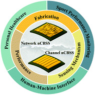 Graphical abstract: Nanocrack-based strain sensors