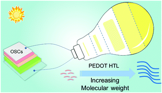 Graphical abstract: The importance of the molecular weight of PEDOT hole transporting materials for efficient organic solar cells