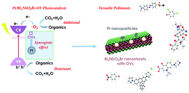 Graphical abstract: Defect-engineering of Pt/Bi4NbO8Br heterostructures for synergetic promotional photocatalytic removal of versatile organic contaminants