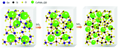 Graphical abstract: Regulating the morphology and luminescence properties of CsPbBr3 perovskite quantum dots through the rigidity of glass network structure