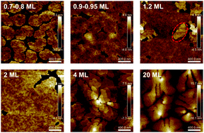 Graphical abstract: Directly probing the charge transport in initial molecular layers of organic polycrystalline field effect transistors