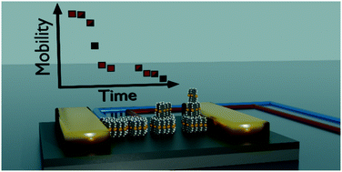 Graphical abstract: Stability of organic thin-film transistors based on ultrathin films of dinaphtho[2,3-b:2′,3′-f]thieno[3,2-b]thiophene (DNTT)