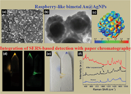 Graphical abstract: Fork-shaped paper SERS sensors coated with raspberry-like bimetallic nanospheres for the detection of the boosted mixture: experimental design and applications