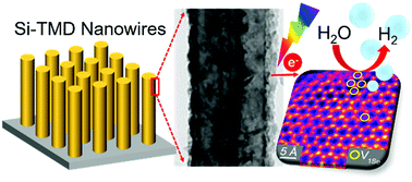 Graphical abstract: Chalcogen-vacancy group VI transition metal dichalcogenide nanosheets for electrochemical and photoelectrochemical hydrogen evolution