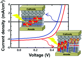 Graphical abstract: Influence of the metal phthalocyanine molecular orientation on charge separation at the organic donor/acceptor interface