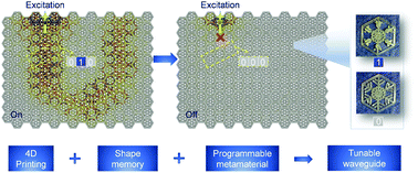 Graphical abstract: 4D printed shape memory metamaterial for vibration bandgap switching and active elastic-wave guiding