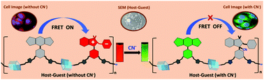 Graphical abstract: Application of stimuli-responsive FRET behavior toward cyanide detection in a photo-switchable [2]pseudorotaxane polymer containing the BODIPY donor and the merocyanine acceptor