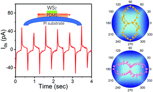 Graphical abstract: Improved anisotropy and piezoelectricity by applying in-plane deformation in monolayer WS2