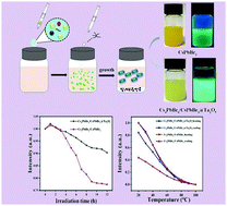 Graphical abstract: One-step conversion of CsPbBr3 into Cs4PbBr6/CsPbBr3@Ta2O5 core–shell microcrystals with enhanced stability and photoluminescence