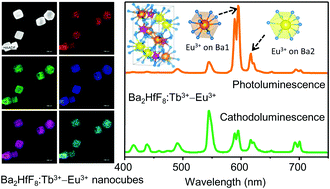 Graphical abstract: Dopant site-dependent luminescence from rare-earth doped dibarium octafluorohafnate Ba2HfF8 nanocubes for radiation detection