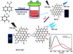 Graphical abstract: High quantum yield boron-doped carbon dots: a ratiometric fluorescent probe for highly selective and sensitive detection of Mg2+ ions