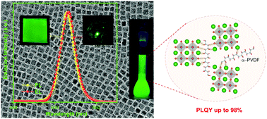 Graphical abstract: Poly(vinylidene fluoride)-passivated CsPbBr3 perovskite quantum dots with near-unity photoluminescence quantum yield and superior stability