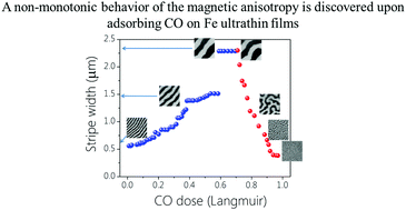 Graphical abstract: Non-monotonic magnetic anisotropy behavior as a function of adsorbate coverage in Fe ultrathin films near the spin reorientation transition