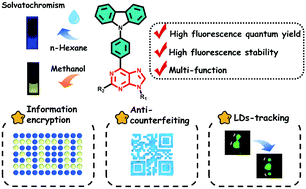 Graphical abstract: Three-in-one: information encryption, anti-counterfeiting and LD-tracking of multifunctional purine derivatives