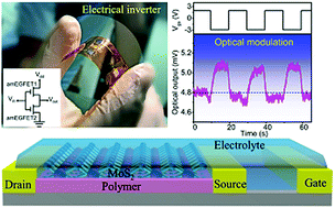 Graphical abstract: Fabrication of solution-processed ambipolar electrolyte-gated field effect transistors from a MoS2–polymer hybrid for multifunctional optoelectronics