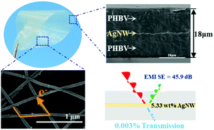 Graphical abstract: Ultrathin, flexible and sandwich-structured PHBV/silver nanowire films for high-efficiency electromagnetic interference shielding
