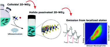 Graphical abstract: Photoluminescence emission induced by localized states in halide-passivated colloidal two-dimensional WS2 nanoflakes