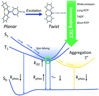 Graphical abstract: Dynamic adjustment of emission from both singlets and triplets: the role of excited state conformation relaxation and charge transfer in phenothiazine derivates