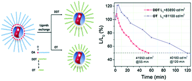 Graphical abstract: Surface organic ligand-passivated quantum dots: toward high-performance light-emitting diodes with long lifetimes