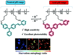 Graphical abstract: Construction of polysiloxane-based fluorescent probe for visualizing pH down-regulation
