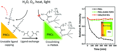 Graphical abstract: Zinc-methacrylate passivation enables an efficient and stable perovskite nanocrystal-polymer composite for LED applications