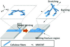 Graphical abstract: Electromechanical coupling of isotropic fibrous networks with tailored auxetic behavior induced by water-printing under tension