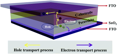 Graphical abstract: Low-temperature sprayed carbon electrode in modular HTL-free perovskite solar cells: a comparative study on the choice of carbon sources